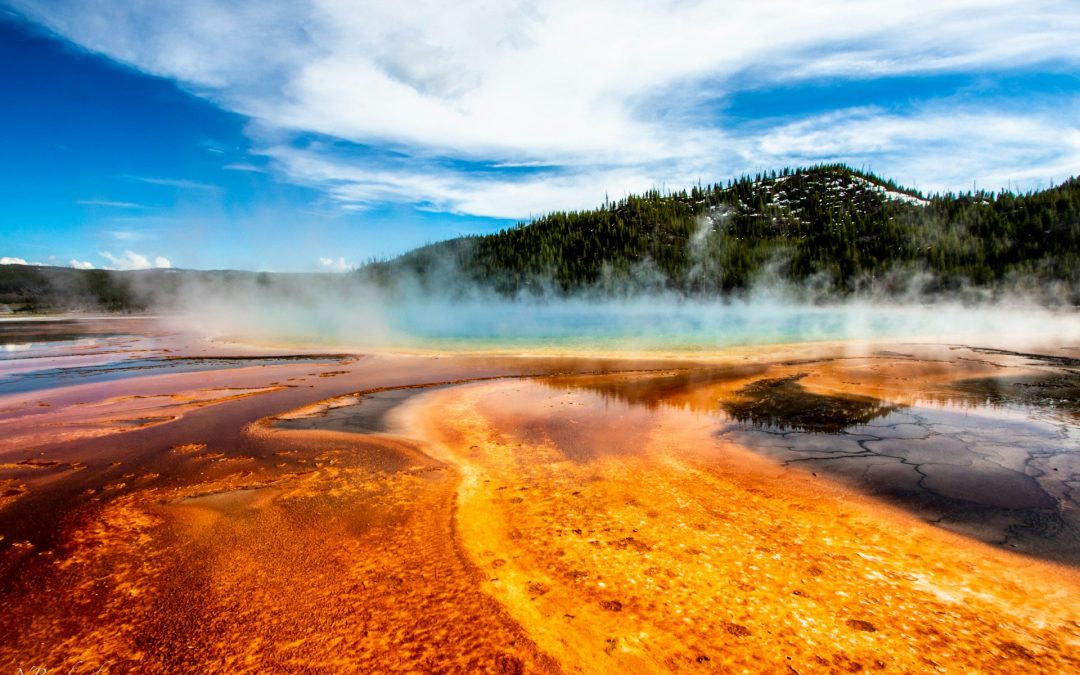 Rollistan i Yellowstone