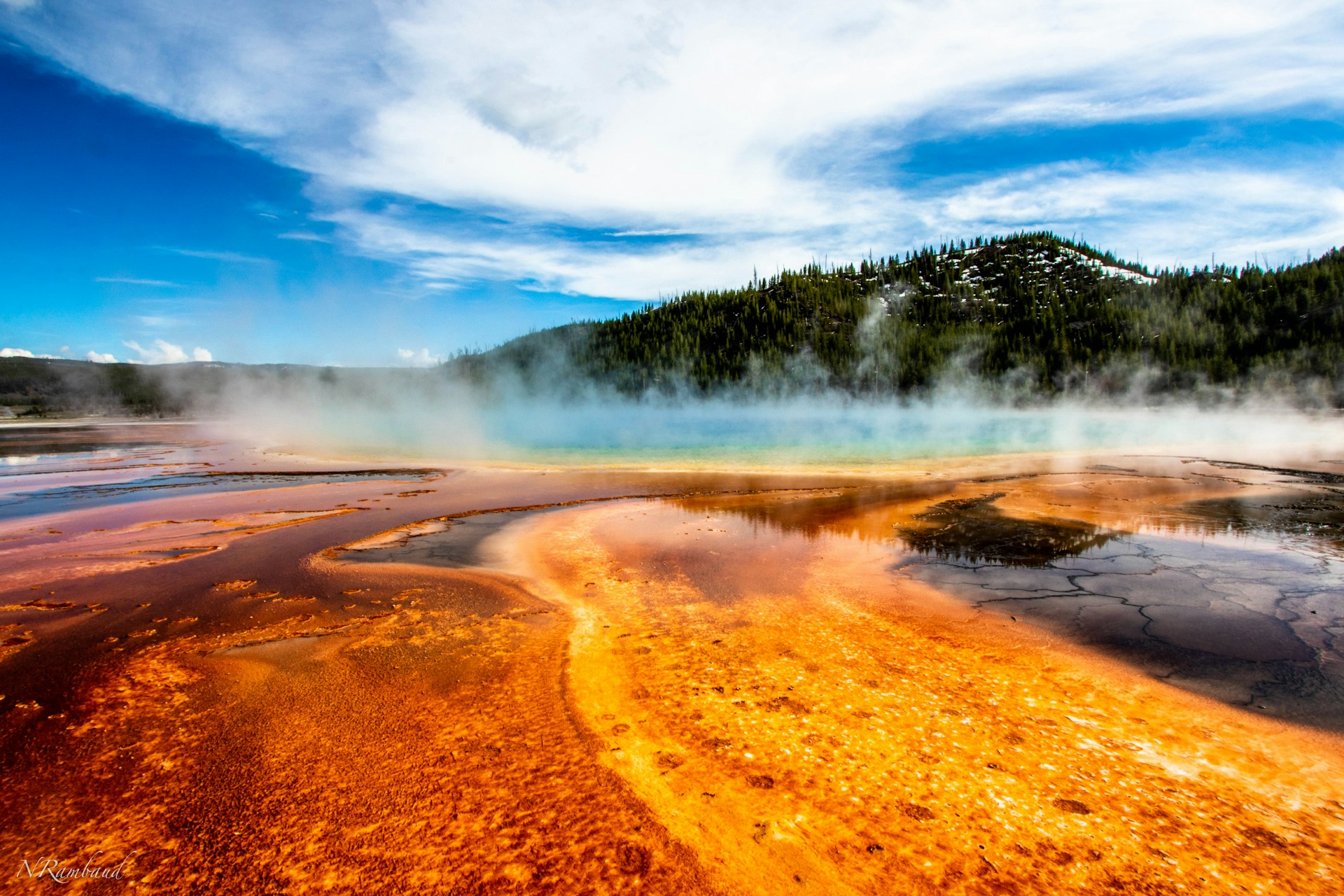 Rollistan i Yellowstone