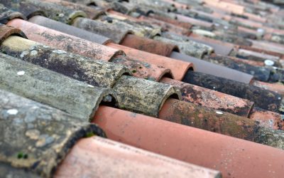 Vad kostar det att måla taket?